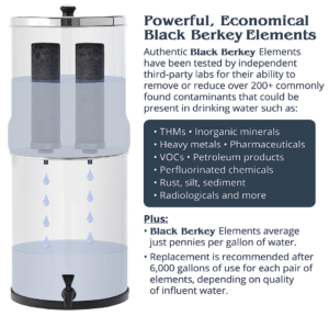 Water filtering - Berkey